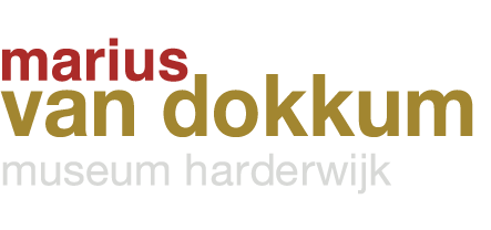 logo Marius van Dokkum museum Harderwijk